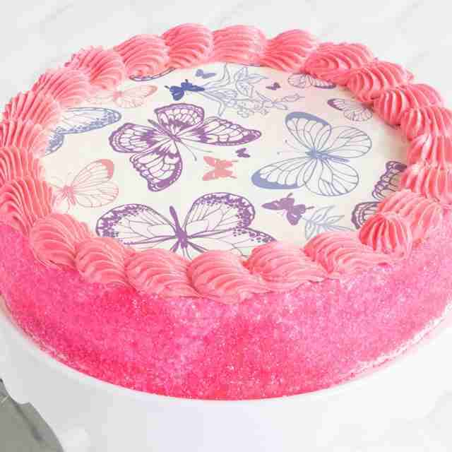 Image of Butterfly Cake